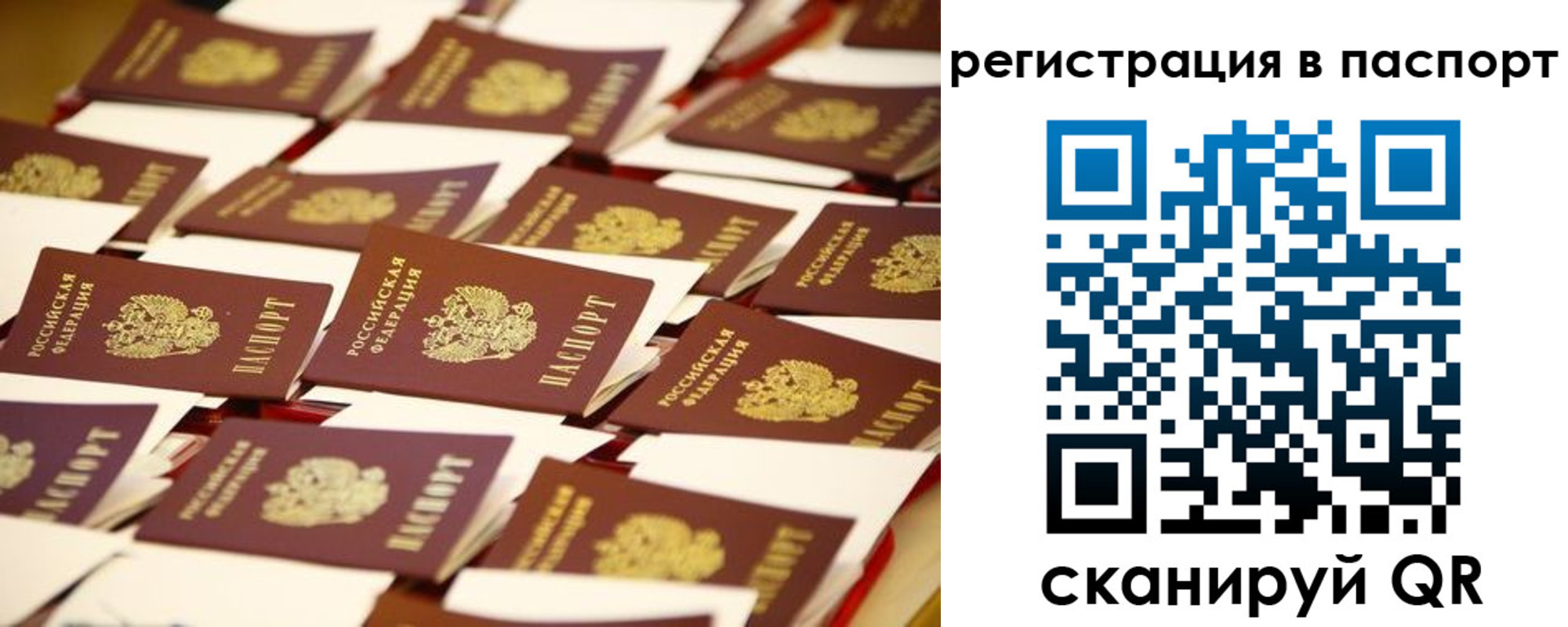 прописка гарантия в Дрезне